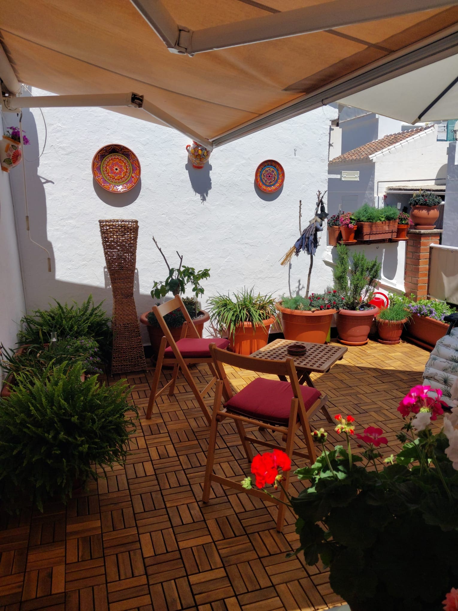 Terraza.3